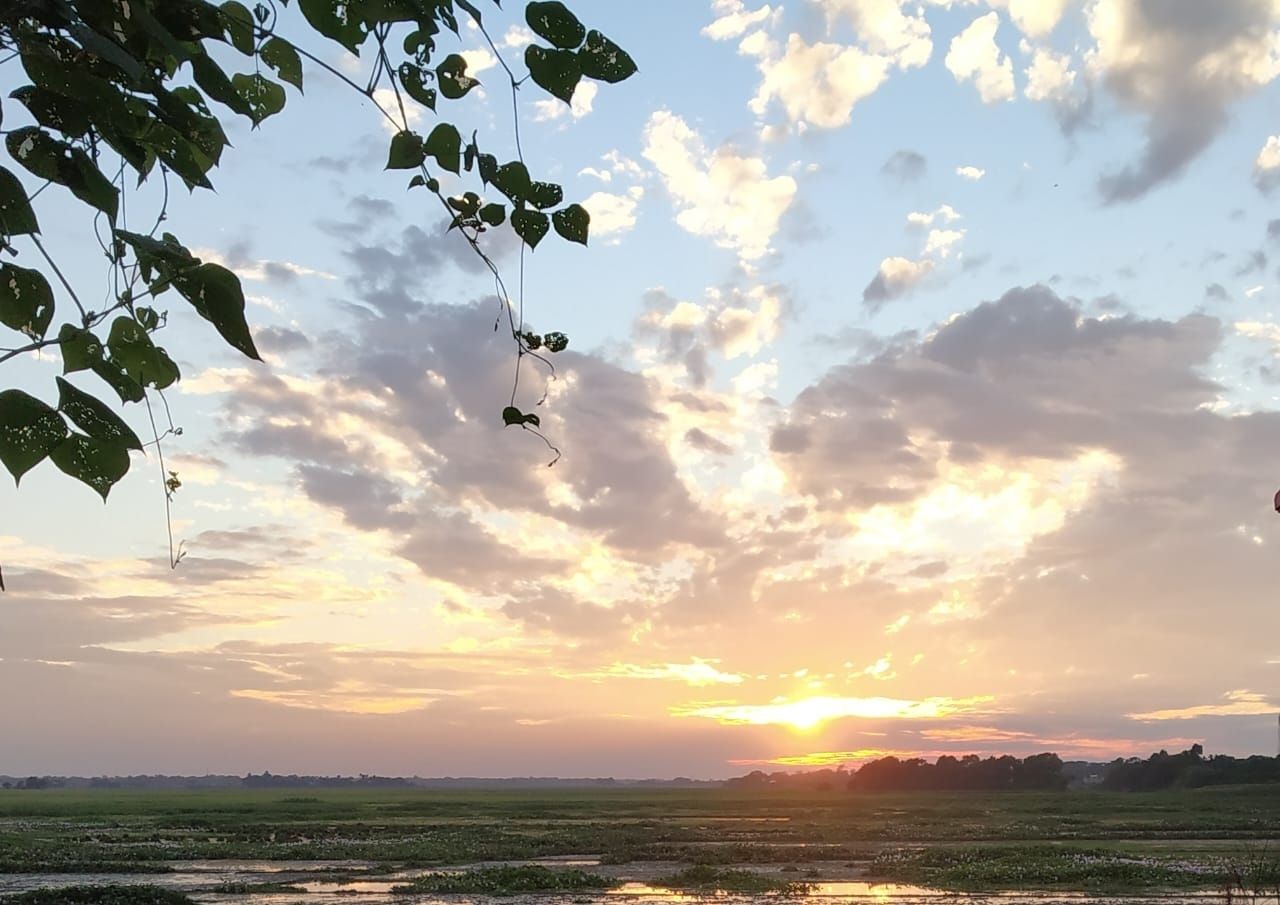 ইনফো বাক্সের ছবি